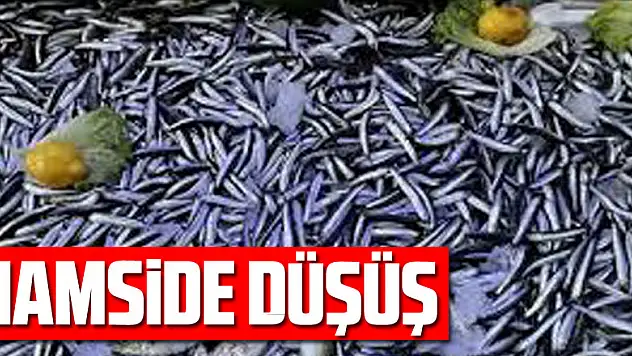 Hamside düşüş