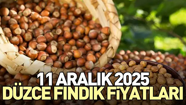 11 Aralık 2025 Düzce Fındık Fiyatları