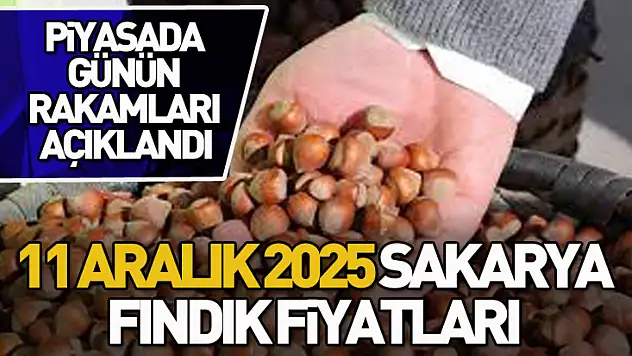 11 Aralık 2025 Sakarya Fındık Fiyatları | Piyasada Günün Rakamları Açıklandı