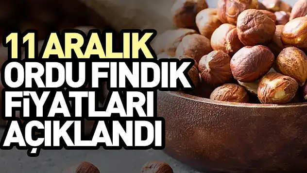 11 Aralık Ordu Fındık Fiyatları Açıklandı