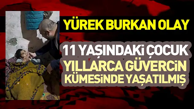 11 Yaşındaki Çocuk Yıllarca Güvercin Kümesinde Yaşatılmış