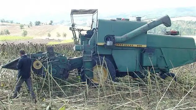 Ayçiçeği Çiftçiyi Sevindirdi