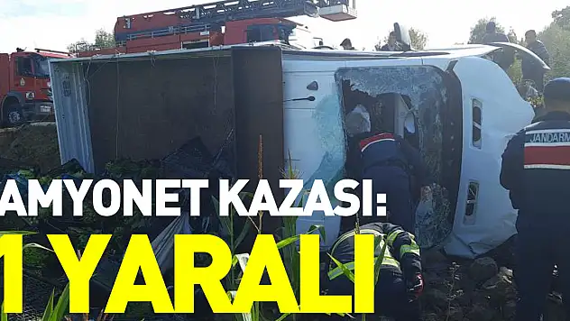 Kamyonet Kazası: 1 Yaralı