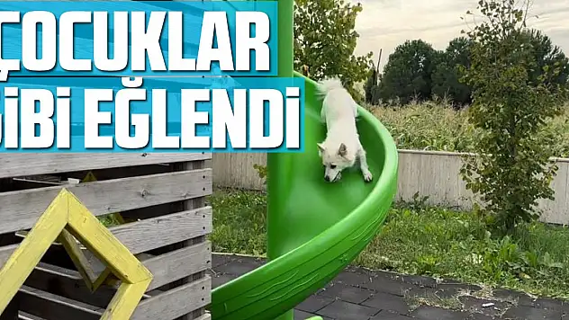 Çocuklar gibi eğlendi