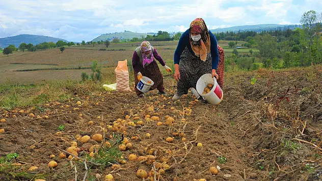 30 milyon lira tarımsal destek