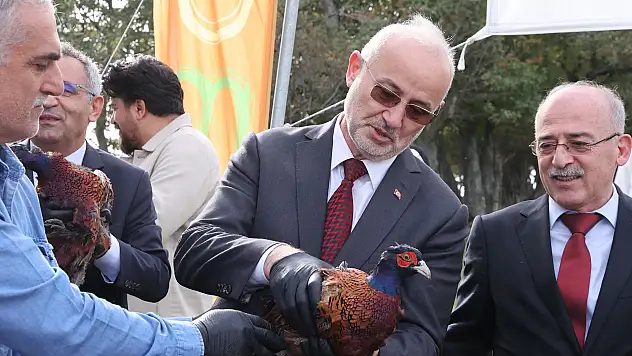 500 kınalı keklik ve sülün doğayla buluştu