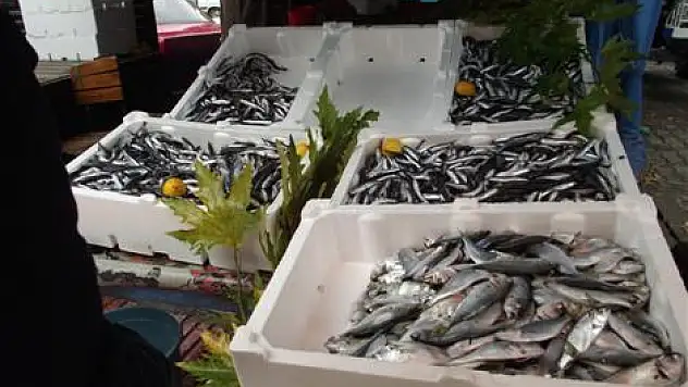 Hamsinin kilosu 2,5 liraya düştü