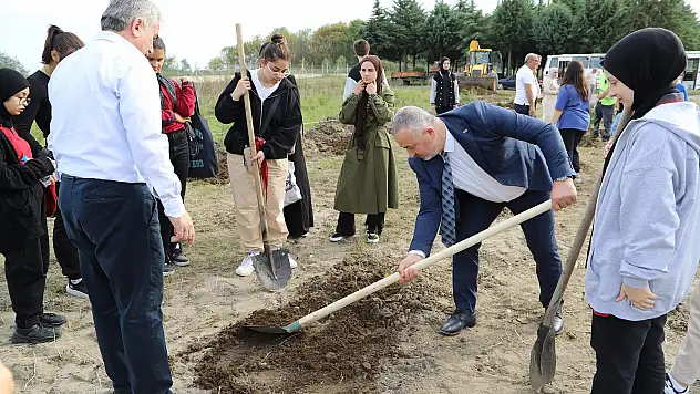 19 Mayıs ilçesinde hatıra ormanı oluşturuldu