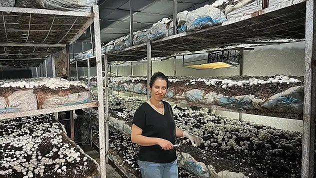 Emetli girişimci kadın kültür mantarı üretiyor