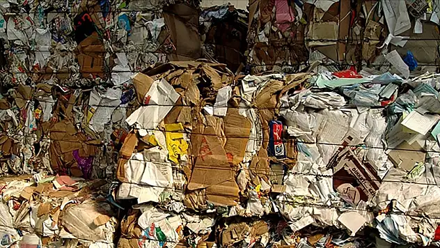 'Yeşil Dalga'yı Radarına Aldı