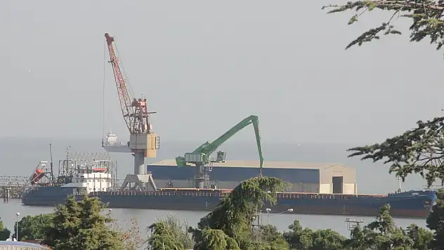 43,8 milyon dolarlık döviz milli ekonomiye kazandırıldı