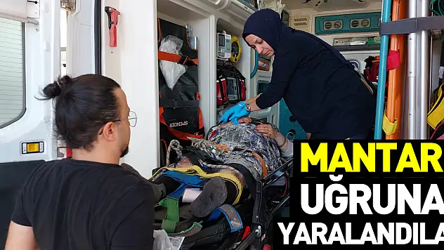 Mantar Uğruna Yaralandılar