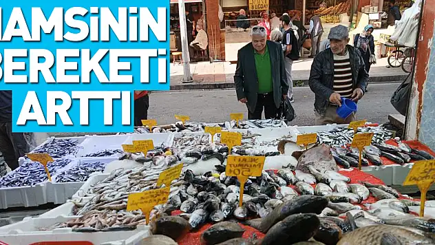 Hamsinin Bereketi Arttı
