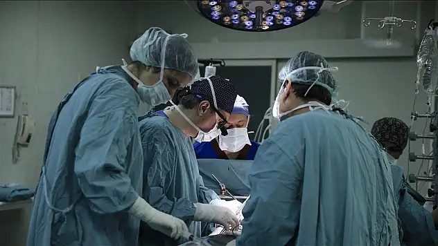 74 Bin Organ Nakli Gerçekleşti