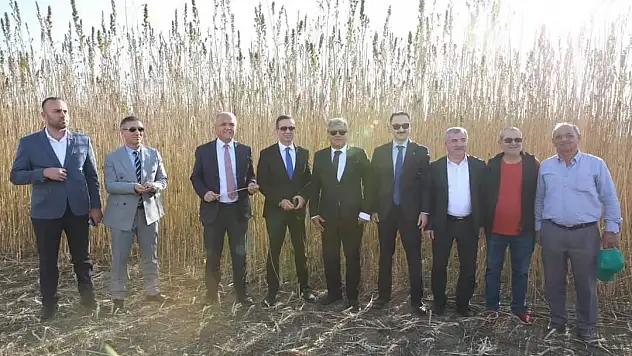 Kenevirde İş Birliği