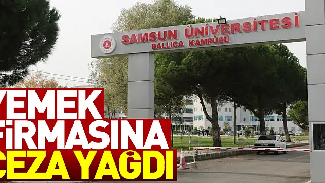 Yemek firmasına ceza yağdı