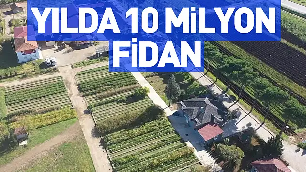 Yılda 10 Milyon Fidan