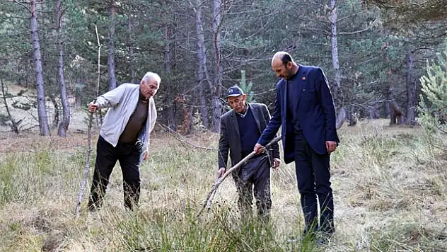 Her Yerden Petrol Çıkıyor