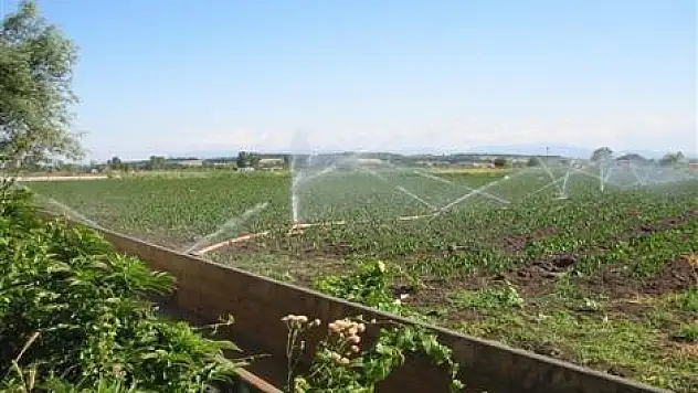 Bafra Sol Sahil Sulama Projesiİ 4 Yılda 170 Milyon Kaynakla Tamamlanacak