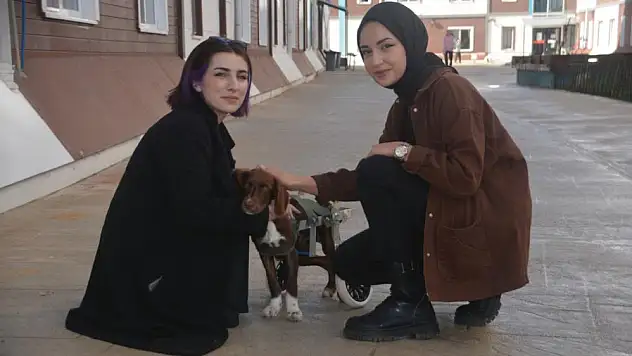 öğrencilerin ilgi odağı oldu