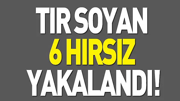 Tır soyan  6 hırsız  yakalandı!