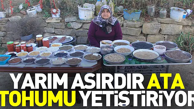 Yarım Asırdır Ata Tohumu Yetiştiriyor