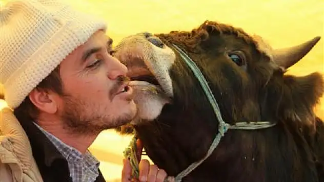 Hayvanlarla birlikte yatıp kalkıyorlar