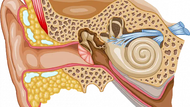 Tedavi edilmezse işitme kaybı olabilir