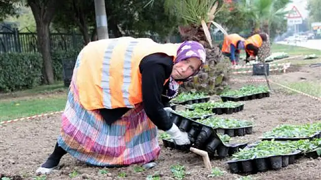 Refüj Çiçeklerine Kadın Eli