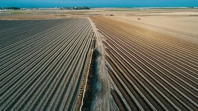 Tarım arazilerinde mirasçılık kararı!
