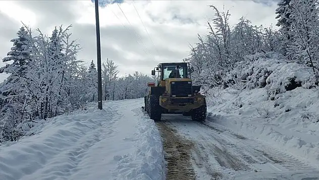 Trabzon ve Rize'de kar nedeniyle 14 yerleşim yerine ulaşım sağlanamıyor