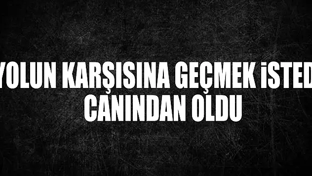 Yolun Karşısına Geçmek İstedi,  Canından Oldu