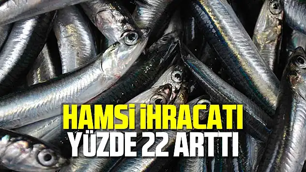 Hamsi ihracatı yüzde 22 arttı
