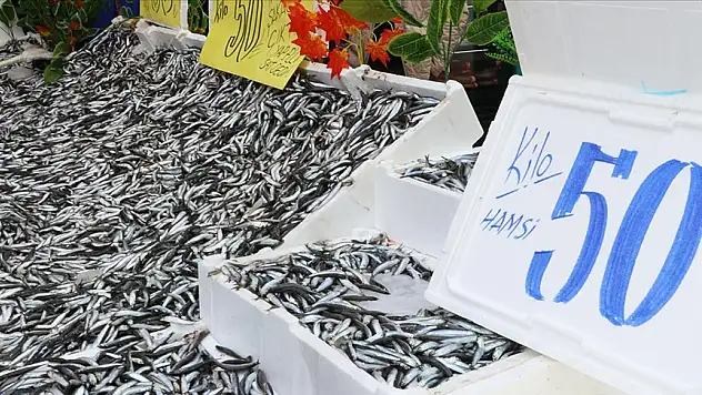 Bolca avlanan hamsi tezgahlara yansıdı