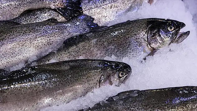 Su ürünleri ihracatının 2 milyar dolara yaklaşması bekleniyor