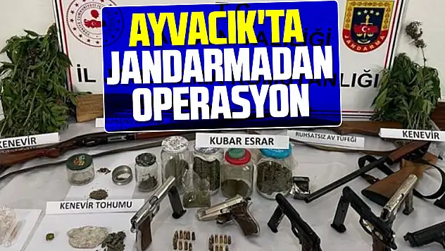 Ayvacık'ta jandarmadan operasyon