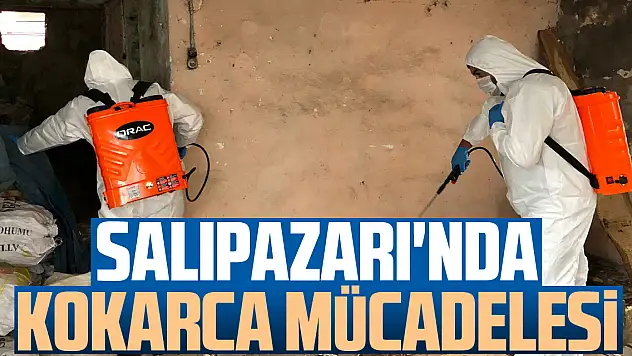 Salıpazarı'nda Kokarca Mücadelesi