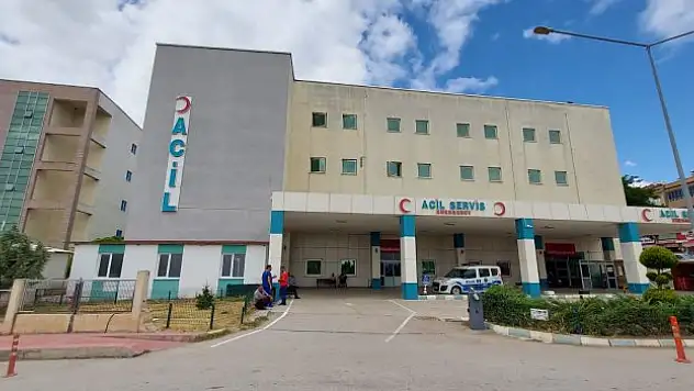 Amasya'da 2 zanlı tutuklandı