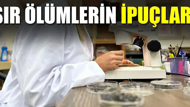 Sır ölümlerin ipuçları
