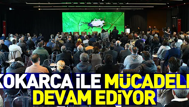 Kokarca ile mücadele devam ediyor