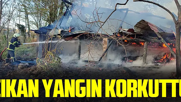 Çıkan Yangın Korkuttu