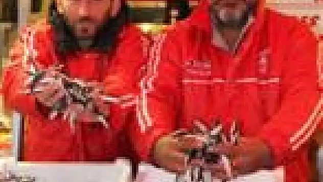 Kurban Kesemeyen Balık Yiyecek