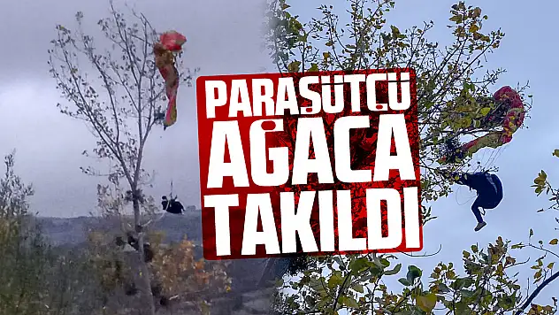 Paraşütçü ağaca takıldı
