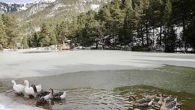 Limni Gölü Tabiat Parkı  ev sahipliği yapıyor