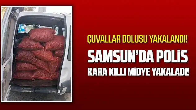 Samsun'da kaçak 20 çuval kara kıllı midye ele geçirildi
