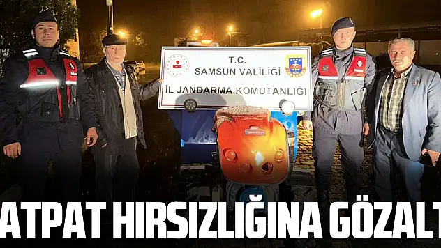 Patpat hırsızlığına gözaltı