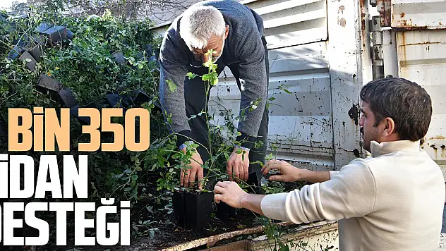 2 bin 350 fidan desteği