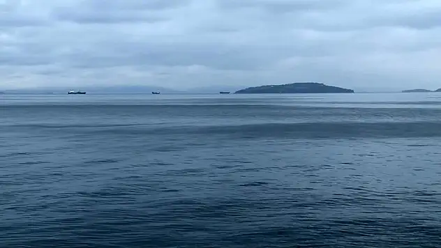 Deprem Sonrası Denizdeki Hareketlilik