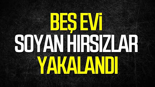 5 Evi Soyan Hırsızlar Yakalandı