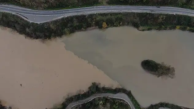 Sinsi Tehlikenin Tehdidi Altında